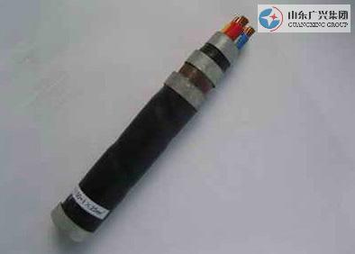 Rated Volage 0.6kV and Below PVC Insulated Power Cable