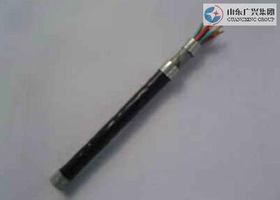 Plastic Insulation Control Cable