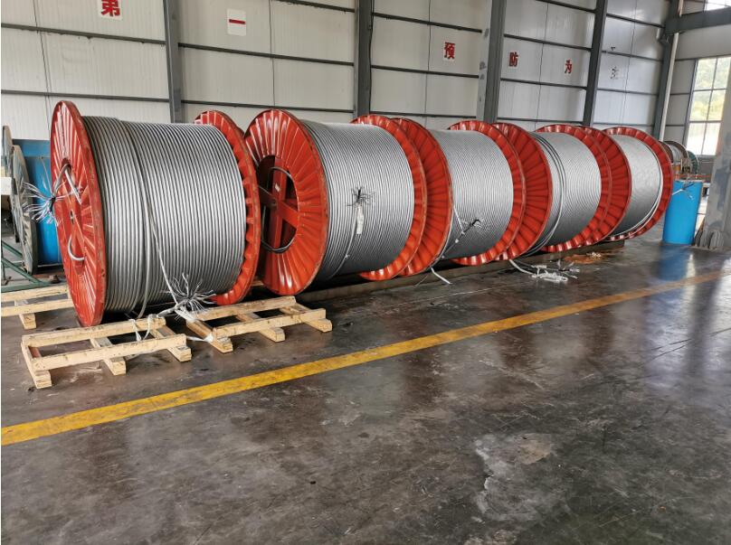 Load-Carrying Submersible power cable